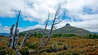 Overland Track